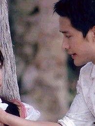 免费观看妒海在线观看,免费在线观看，情感漩涡中的爱恨纠葛